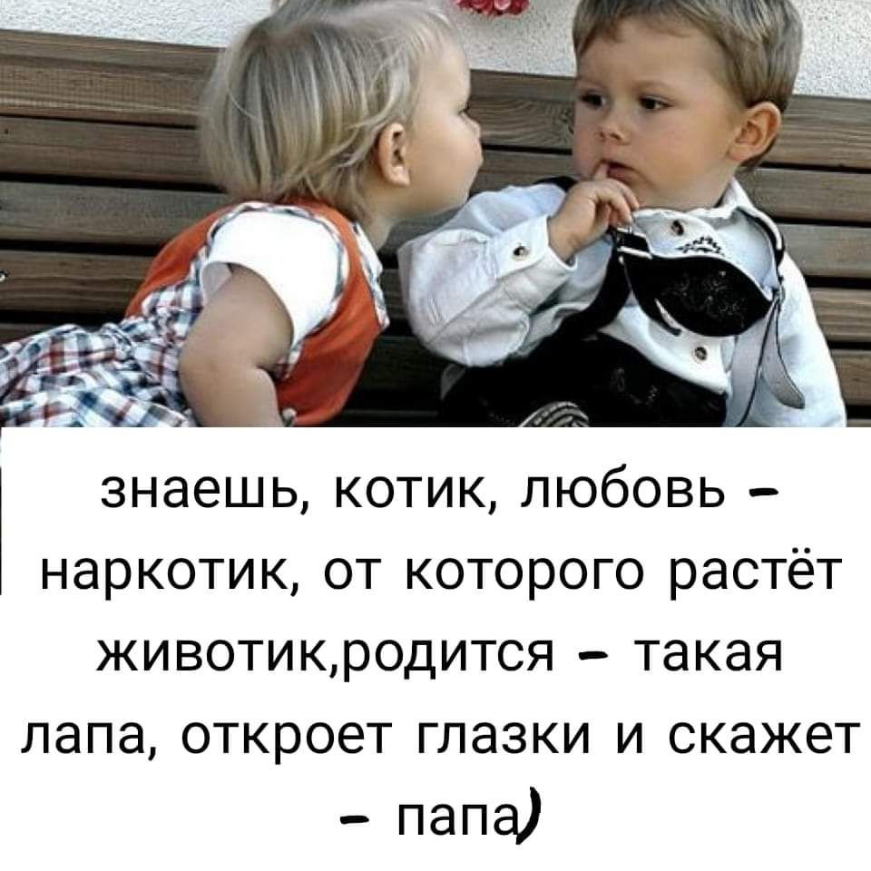 знаешь котик любовь наркотикот которого растёт животикродится такая лапа откроет глазки и скажет папа