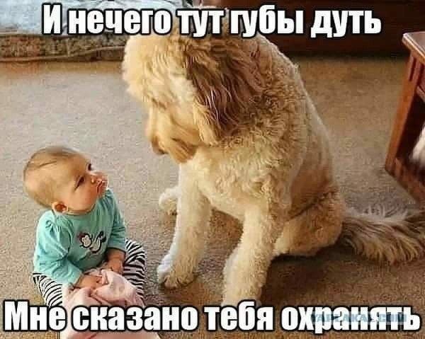шбы дить _ дно тебя охранять