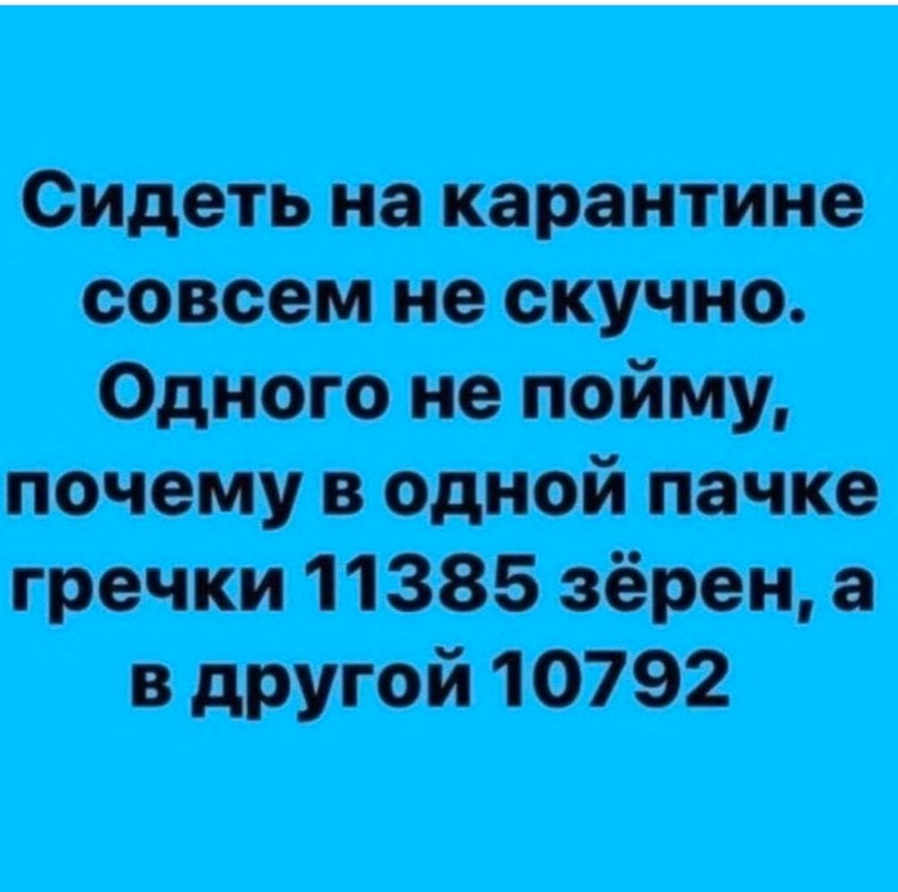 шип там от живидж впиши вт