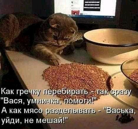 уйди не мешай