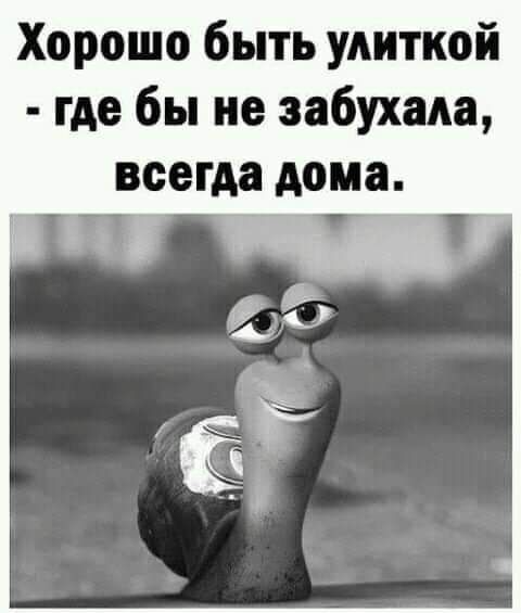 Хорошо быть улиткой  где бы не забухала, всегда дома.