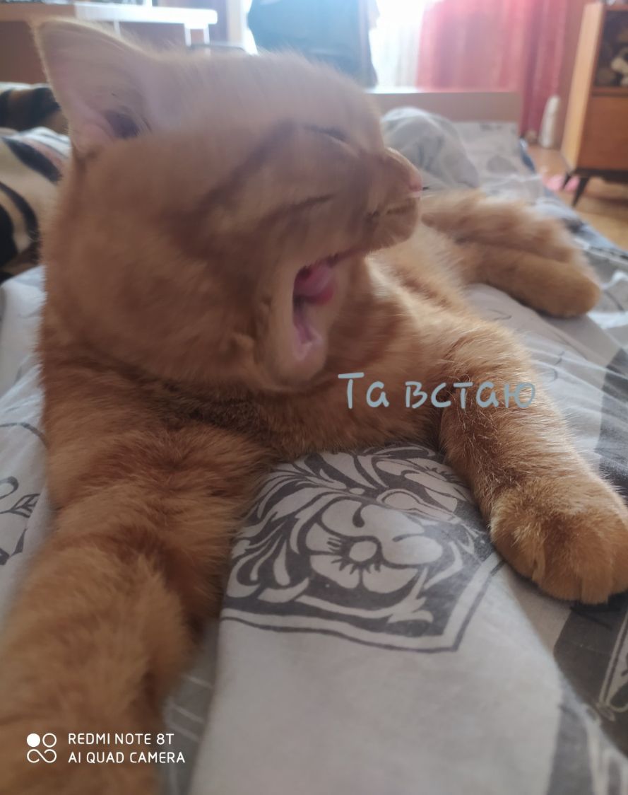О ПЕПШ МОТЕ ВТ Ю А ОЦМ САМЕКА