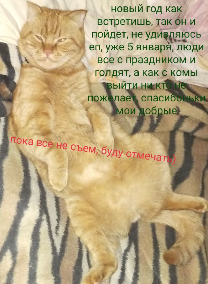 у7 новый год как встретишь так он и пойдет не удйсь 1 еп уже 5 января люди все с праздником и голдят а как с_комы