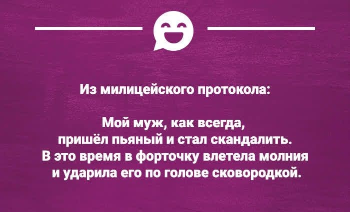 ИЗ милицейского ПРОТОКОЛЫ Мой муж как всегда пришёл пьяный и стал скандалить В это время в форточку влетела молния и ударила его по голове сковородкой