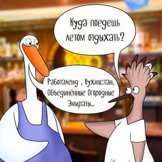 Куза поеэешь АеТОМ от9ыхать