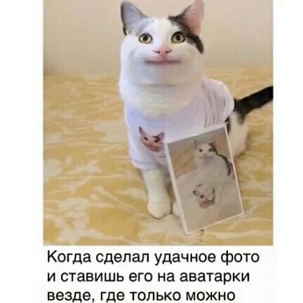 Когда сделал удачное фото и ставишь его на аватарки де г_е только можно