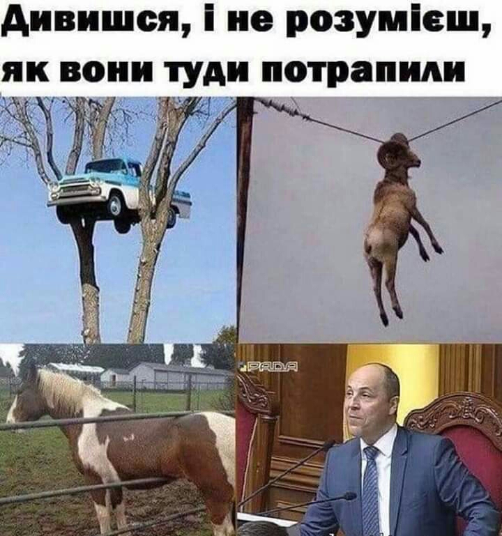 Аивишся і не розуміеш як вони туди потрапили