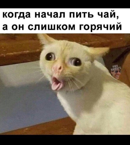 когда начал пить чай а он слишком горячий