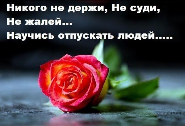 Никого не держи Не суди Не жалей Научись отпускать людей
