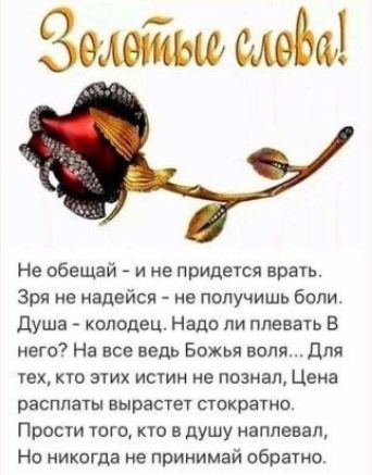 Не обещай и не придется врать зря не надейся не получишь боли Душа колодец Надо ли плевать В нет На все ведь Божья воля Для тех кто этих истин не познал Цвиа расплаты вырастет стократнц Прости того кто в душу наплевал Но никогда не принимай обратно