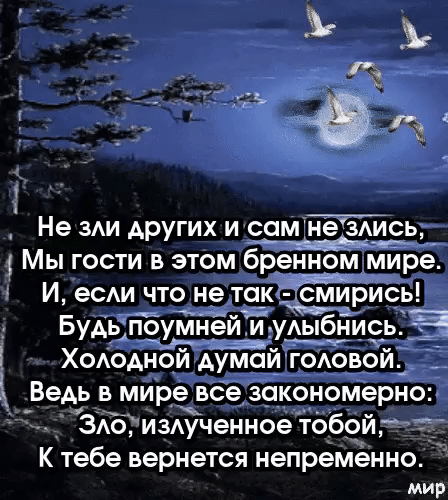 Не 3Аи других и сам не 3Аись Мы гости в этом бренном мйре И еСАИ что не та_ БуАьп_оумней и _уАыбнйсь ХоАоАной АУЁЁй гоАово Ведь в мире все закономерно ЗАо изАученное тобой _ К тебе вернется непременно мир