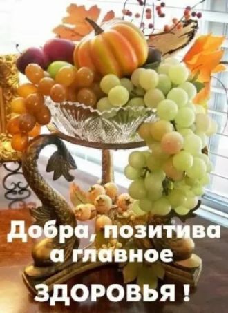 ЗДОРОВЬЯ