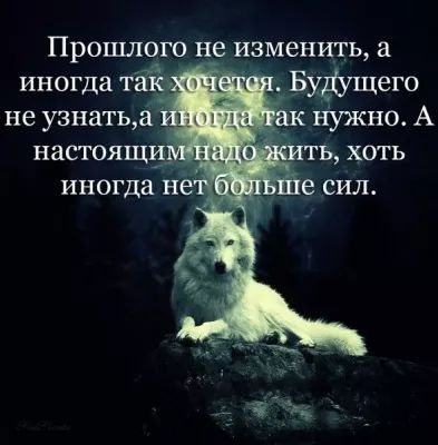 Прошлого не изменить а А иногда та Буевщего не узнатыі кнужно А ть хоггь