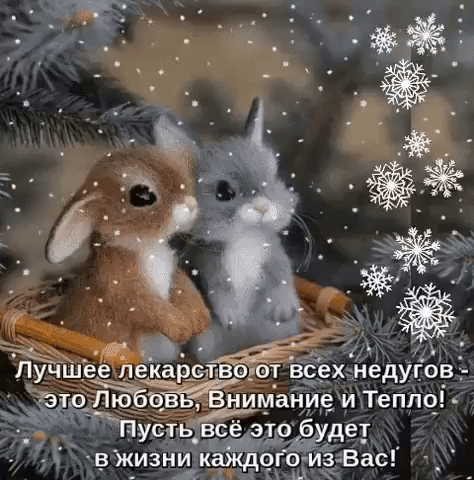 и ЁёЁЧЁАЁЪВ а ЮЁЬЁЁЁВЁ ма
