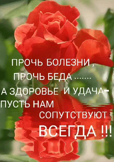 ПРОЧЬ БОЛЕЗНЙ ГФЧЬБ А АЗЁРОВЬЕ Удё пус НАМ сопутствуютз веЕгдА Ш