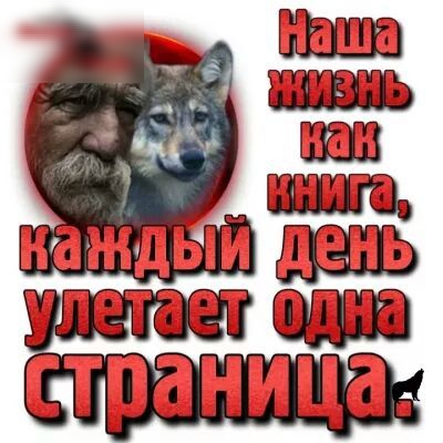 улетает СТПЗНИЦЗ