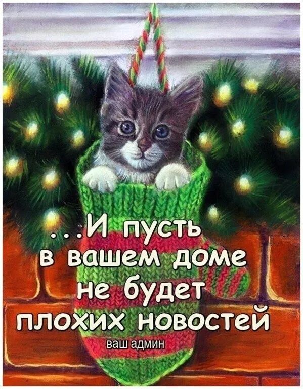 Иг путь в вашем доме не будет Ё плохих новосТей ваш админ