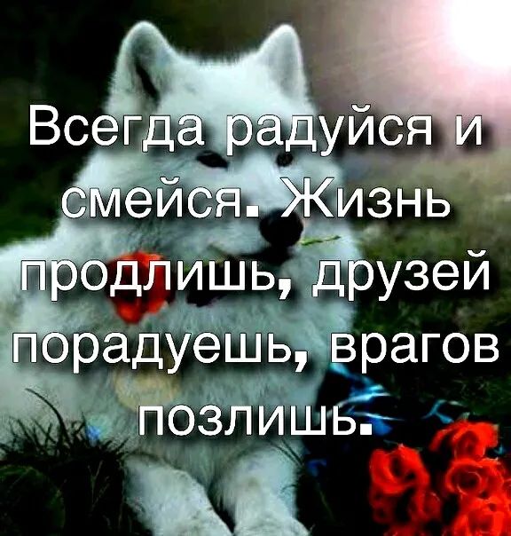 в ЩО д Ишьіід узеи _ іг Ё_ Прадуе Ь врагов и