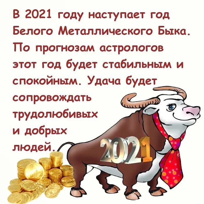 В 2021 году наступает год Белого Металлического Быка По прогнозам астрологов этот год будет стабильным и спокойным Удача будет сопровождать трудолюбивых и добрых