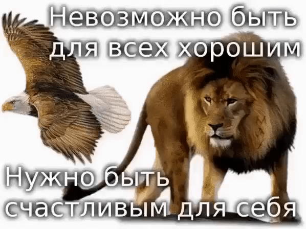 іп евозмо