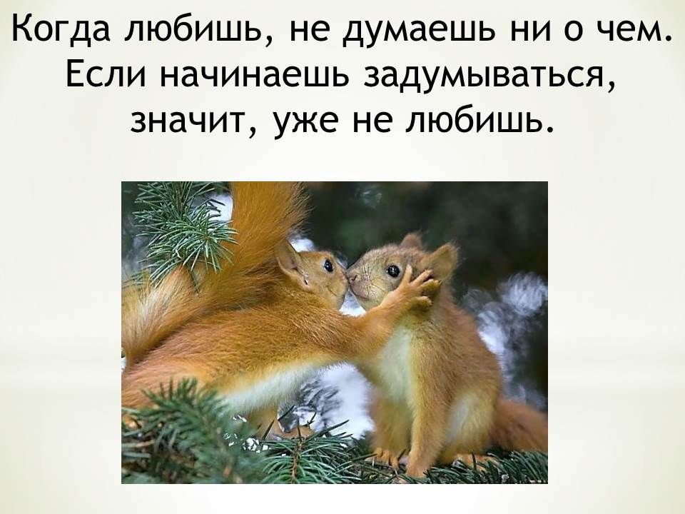 Когда любишь не думаешь ни о чем Если начинаешь задумываться значит уже не любишь