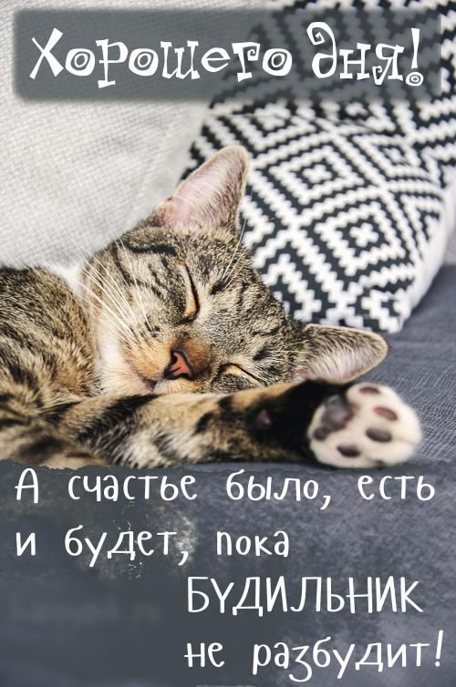 к ХРЩ61 дни 5 4 д счастье было есть и будет пока БУДИЛЬНИК не разбудил