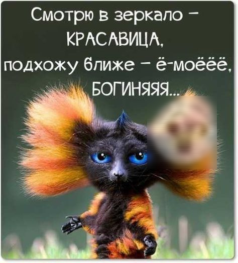Смотрю в зеркало КРАСАВИЦА подхожу ближе ё моёёё БОГИНЯЯЯ