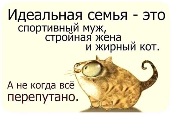 Идеальная семья это спортивный муМ9 строиная жена и жирныи кот А не когда всё перепутано
