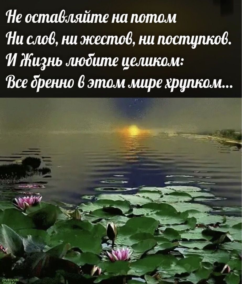 Не напопшм Ни слов нижестод ни Мамутов 14 Жизнь ждите цемишм Все дрешш 8 атм мире хршишм
