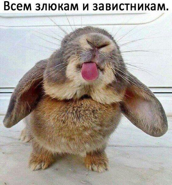 всем ЗЛЮКЗМ И ЗЗВИСТНИКЗМ