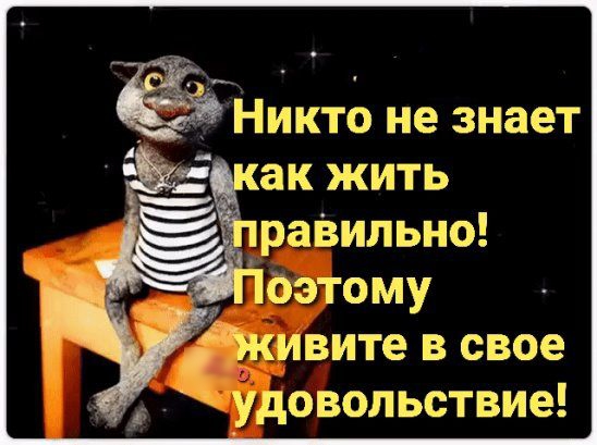 живите в свое удовольствие