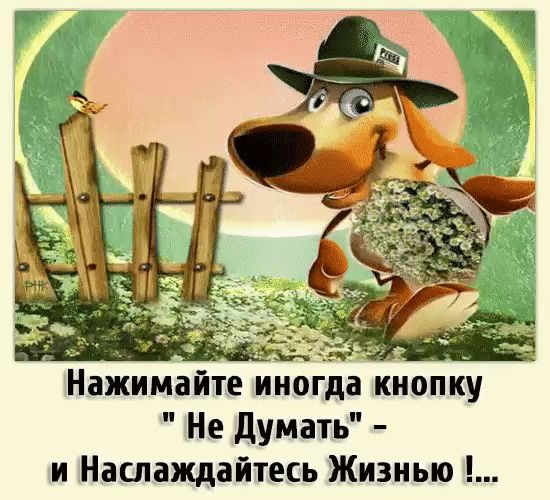 Нажимайте иногда кнопку Не думать и Наслаждайтесь Жизнью
