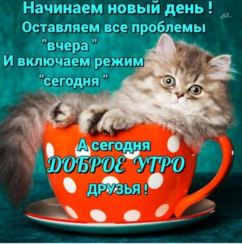 Начинаем новый день __ __ О_ставляем вёрпробл_емы Асегодня 90157308 УТРО дрйзья