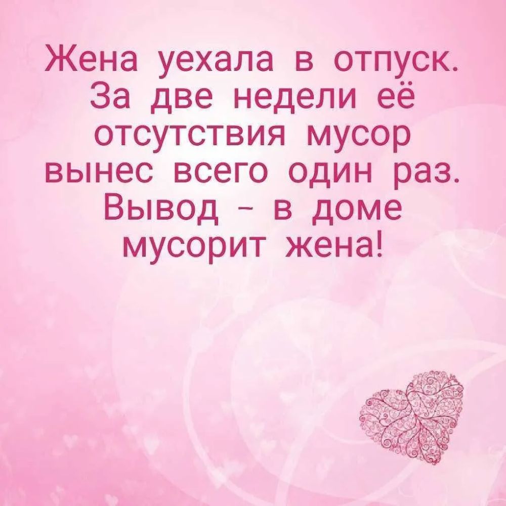 Жена уехала в отпуск За две недели её отсутствия мусор вынес всего один раз Вывод в доме мусорит жена