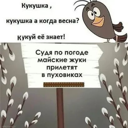 кукушка а когда весна кукуй её знает и Судя по погоде 0 ч майские жуки придетят пуховиках Ч Ъ Л Л Л А 4 д