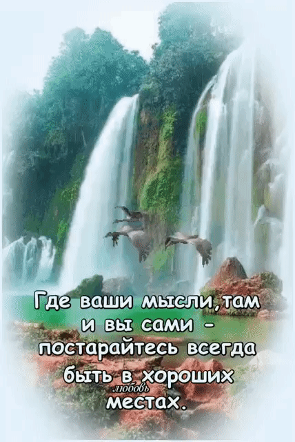 в хороших