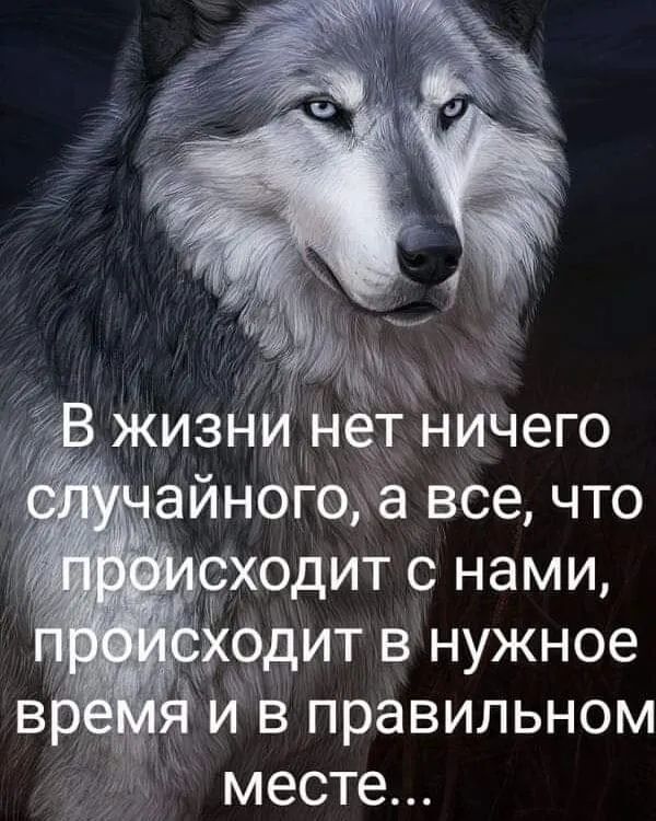 т ничего айнсгэёа все что ходит с нами дитвнужное Й в правильном месте