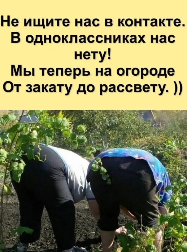 Не ищите нас в контакте В одноклассниках нас нету Мы теперь на огороде От закату до рассвету