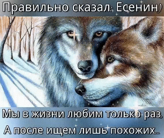 Правильно сказал Есенин А П ле ищемлишьпохожихі
