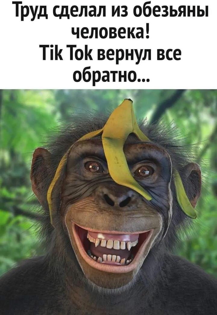 ТРУД Сделал из обезьяны человека Ті Ток вернул все обратно _ у _