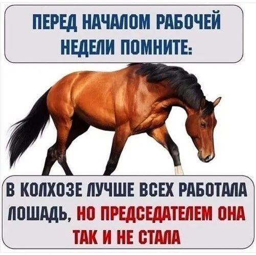 ПЕРЕД НАЧМВМ РАБПЧЕЙ НЕДЕЛИ ППМИТЕ В КППХПЗЕ ЛУЧШЕ ВСЕХ РАБПТМА ппшддь НО ПРЕДСЕДШЕПЕШ ОНД ТАК И НЕ ВТМД