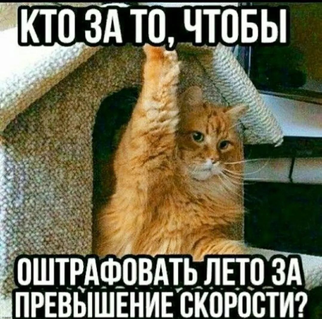 КТП ЗА ТО ЧТОБЫ оштРАФпвдть лето зд првввпшвнивскпрпстиг