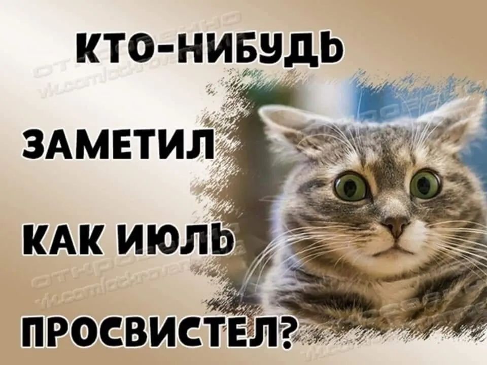 кто ниёидь _