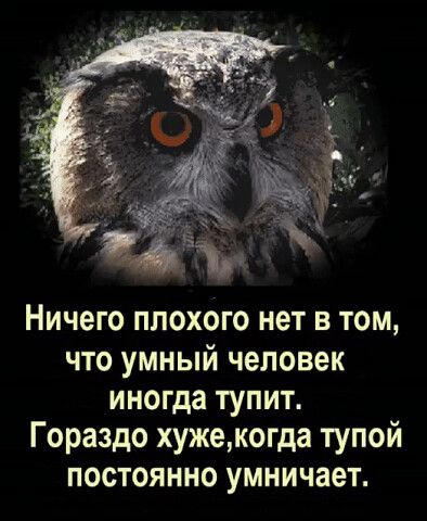 Ничего ппохого нет в том что умный человек иногда тупит Гораздо хужекогда тупой постоянно умничает