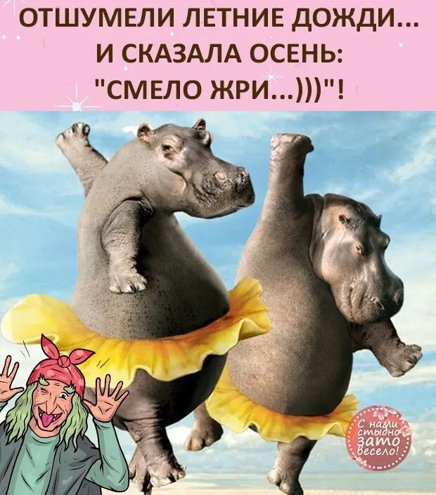 ОТШУМЕЛИ ЛЕТНИЕ ДОЖДИ И СКАЗАЛА ОСЕНЬ СМЕЛО ЖРИ