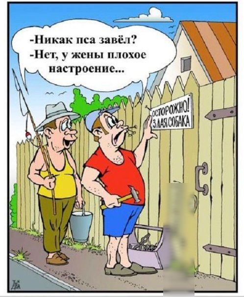 Никак пса завёл Нст у жены плохое настроение