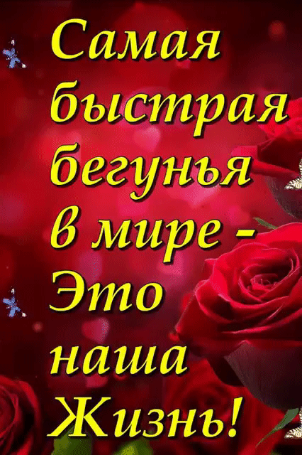 Жизнь 4