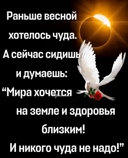 Раньше весной хотелось чуда А сейчас сидиш и думаешь Мира хочется на земле и здоровья близким И никого чуда не надо