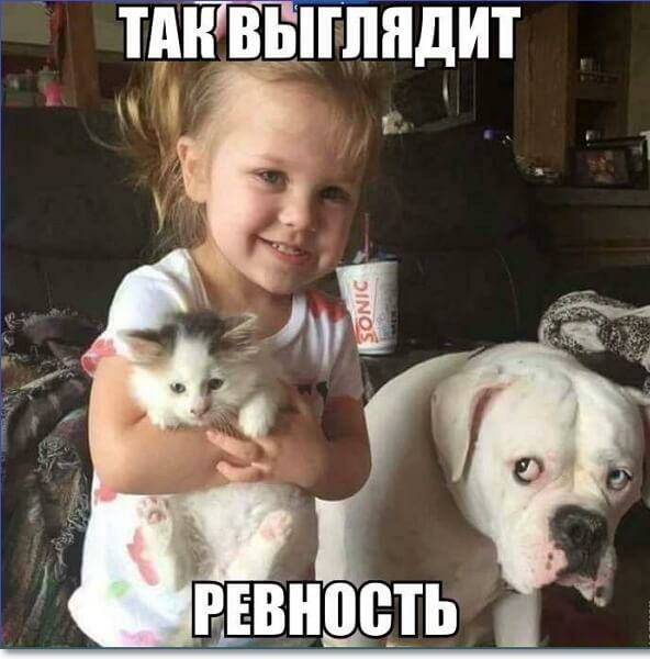 ш йд Ёп Тпыщ ПШ _
