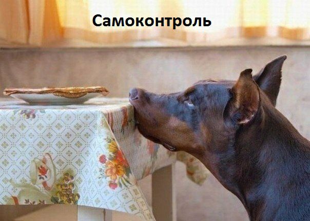 Самоконтроль